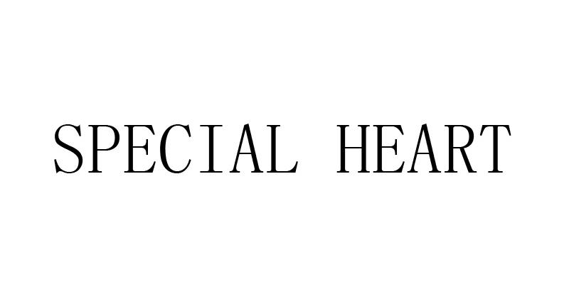 SPECIAL HEART