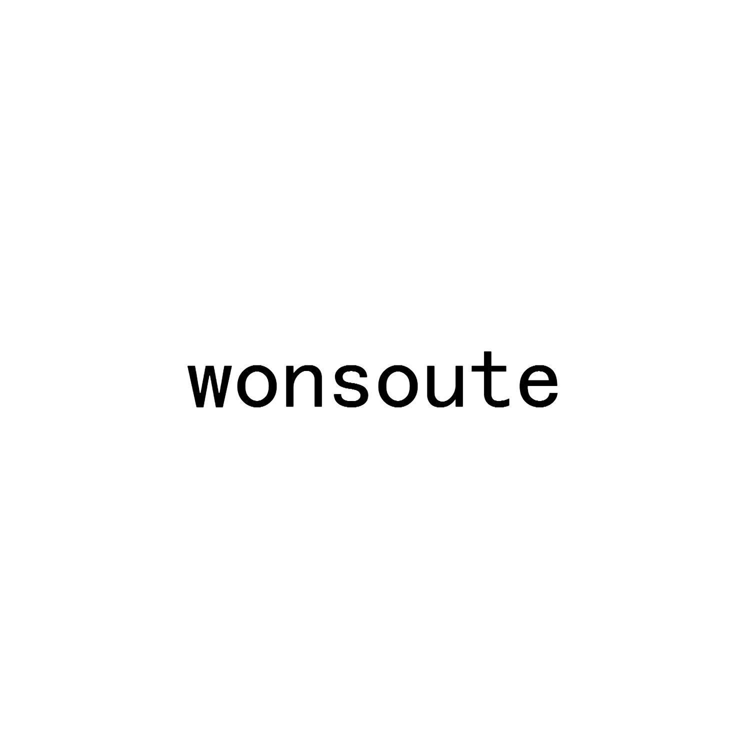 WONSOUTE