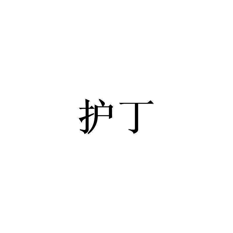 护丁