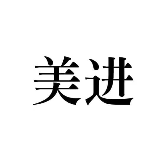 美进