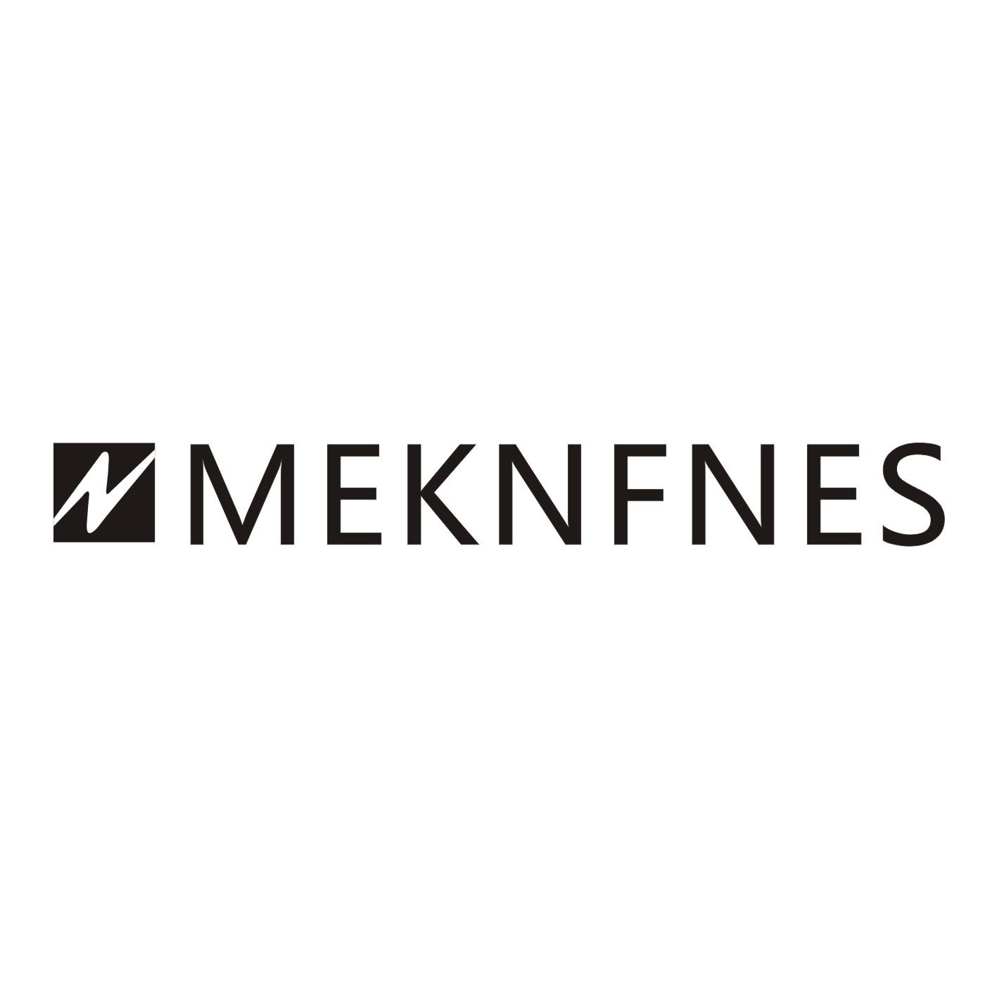 MEKNFNES