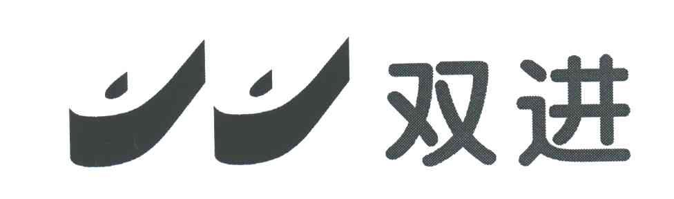 双进