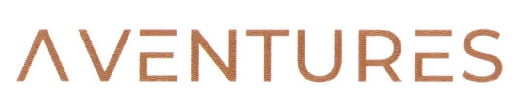 A VENTURES