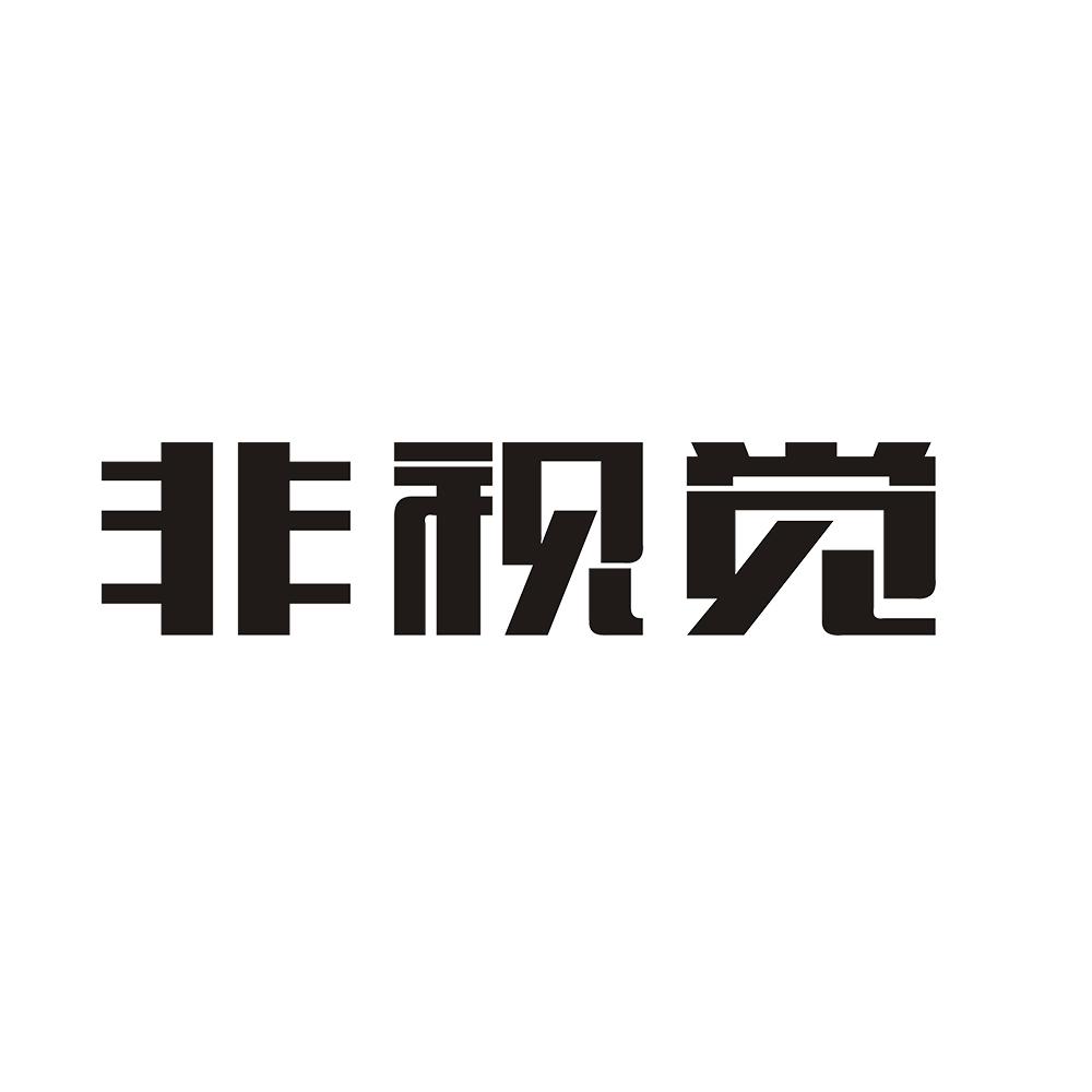 非视觉
