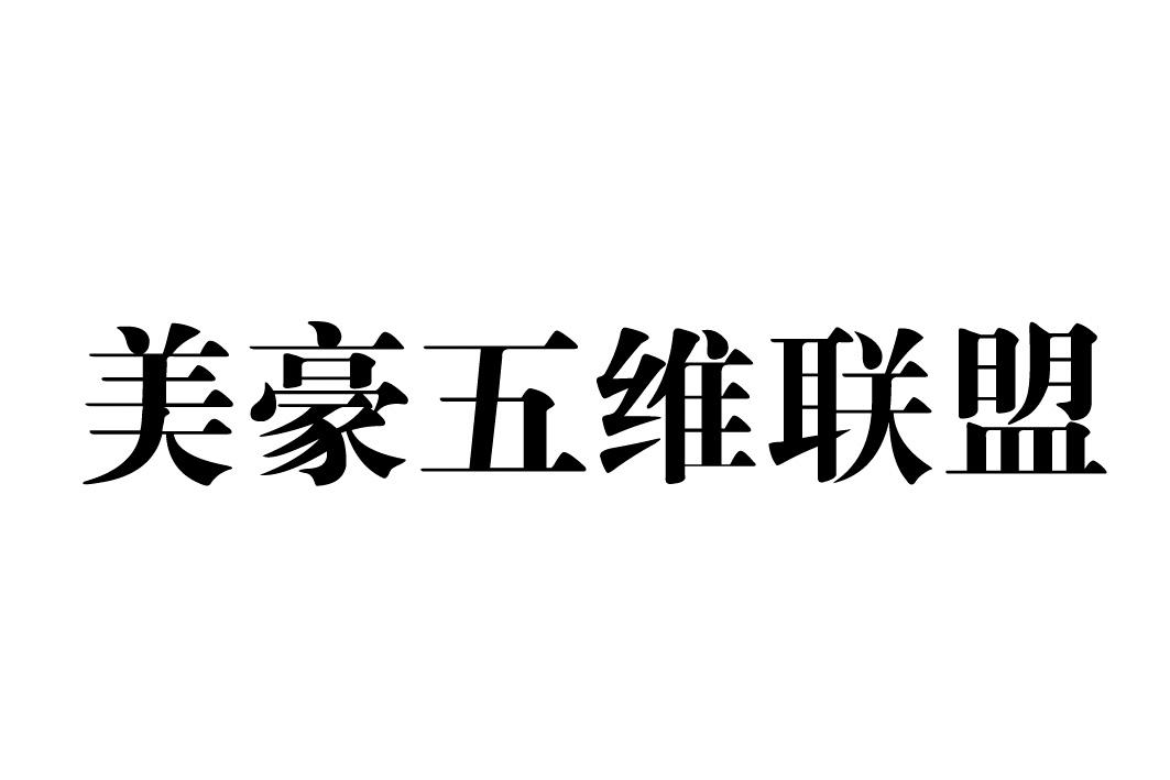 美豪五维联盟
