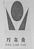 万年青