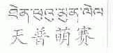 天普萌赛