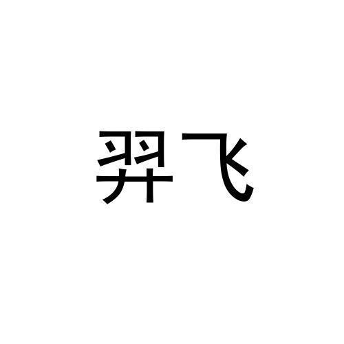 羿飞