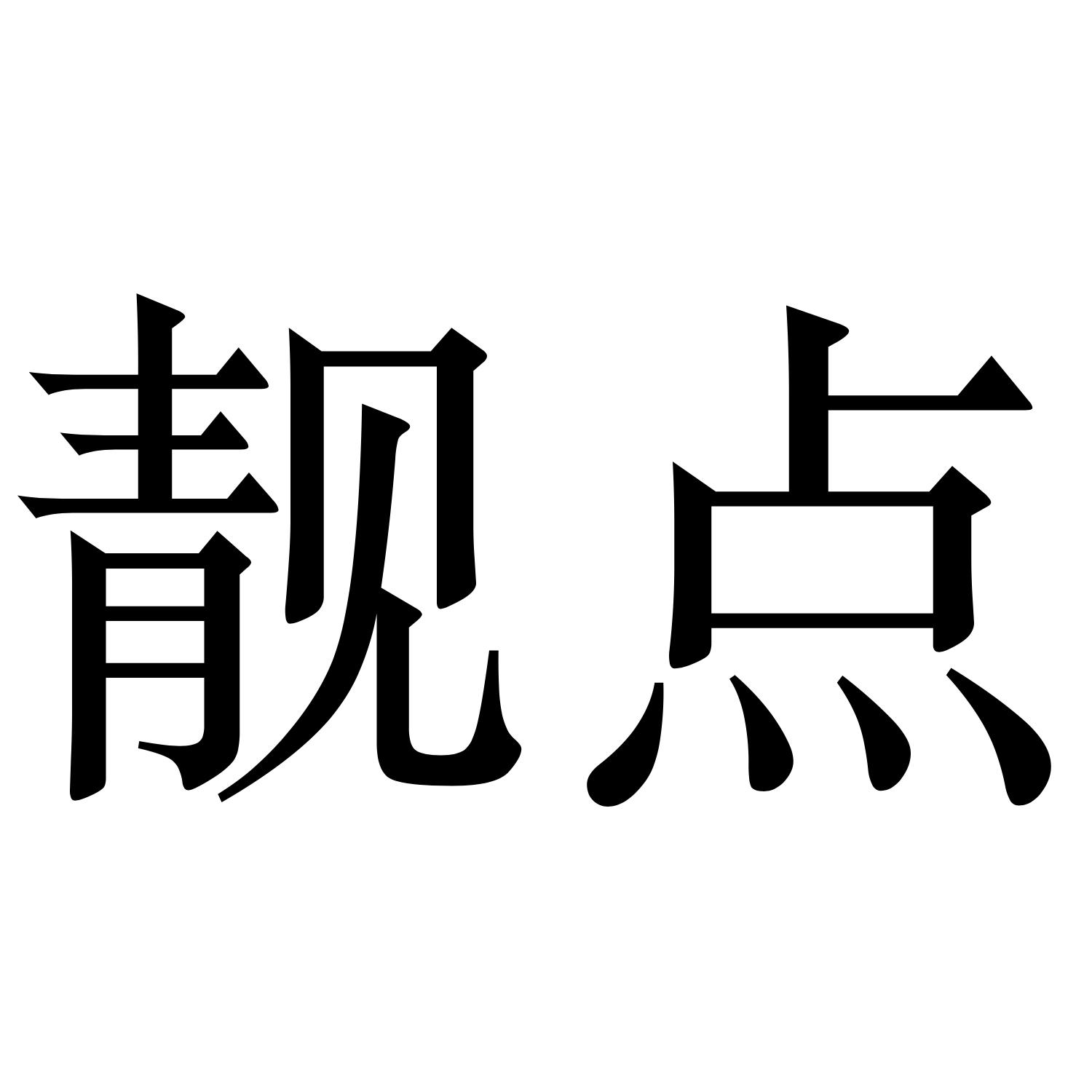 靓点