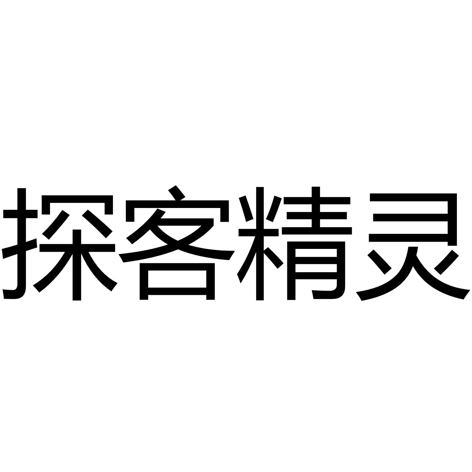 探客精灵