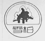 雪柏