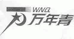 万年青;WNQ