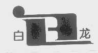 白龙