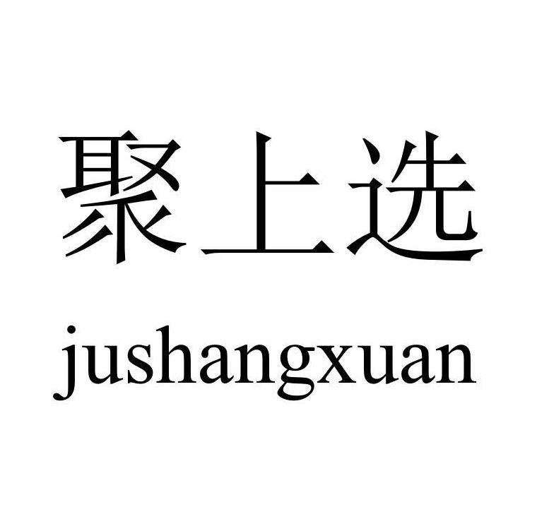 聚上选