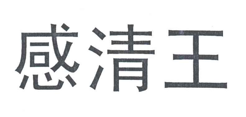 感清王