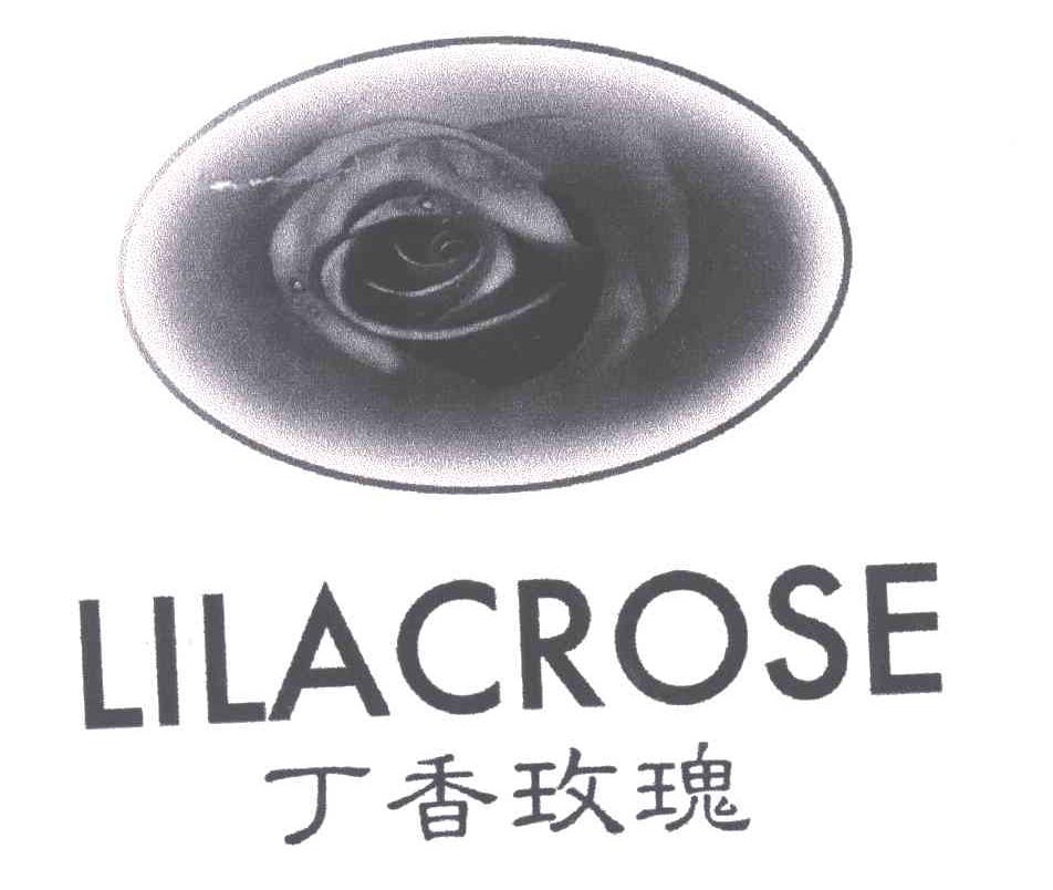 丁香玫瑰