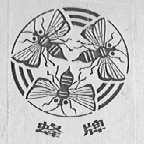 蜂