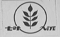七叶