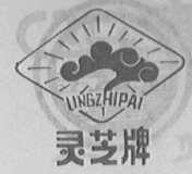 灵芝