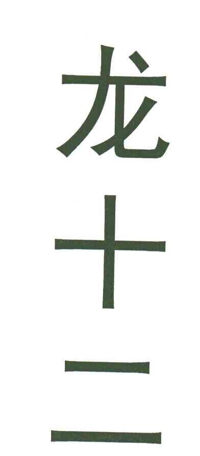 龙十二