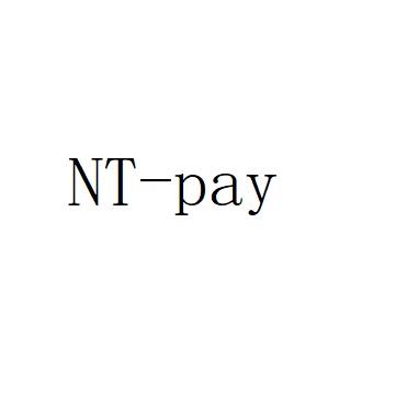 NT-PAY