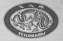 飞龙