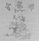 青龙