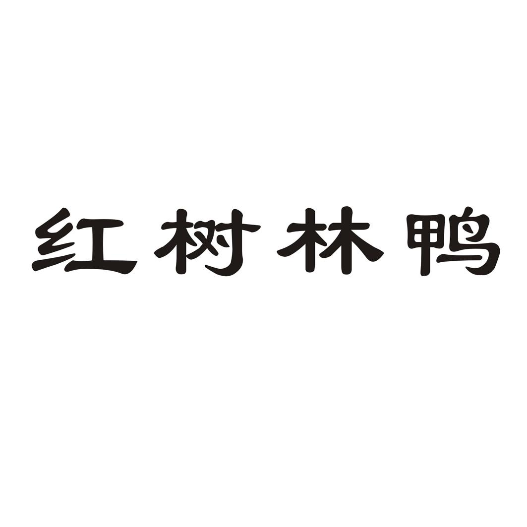 红树林鸭