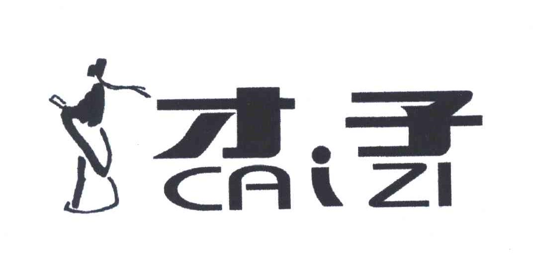 才子