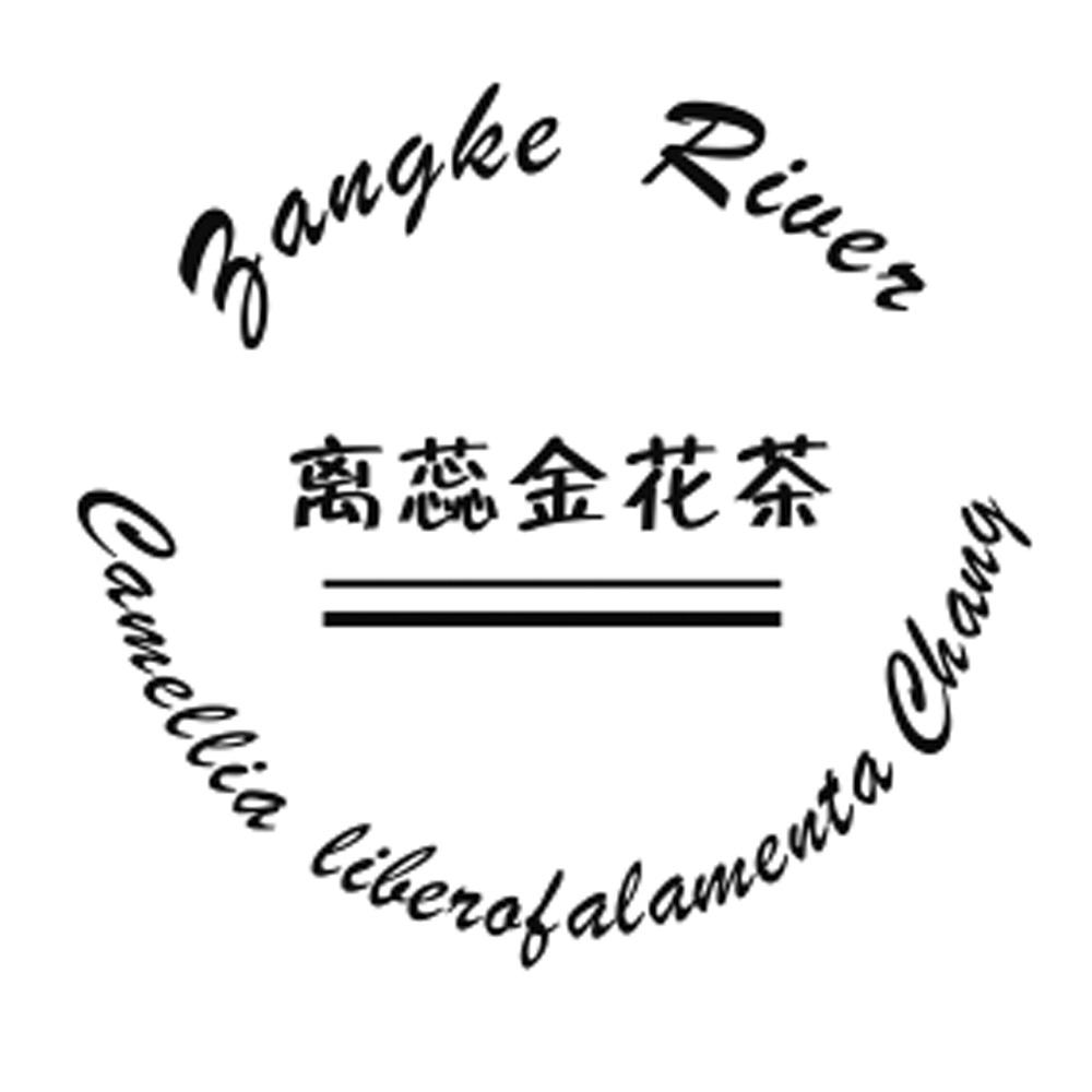离蕊金花茶 YANGKE RIUER CAMELLIA LIBERAFALAMENTA CHANG