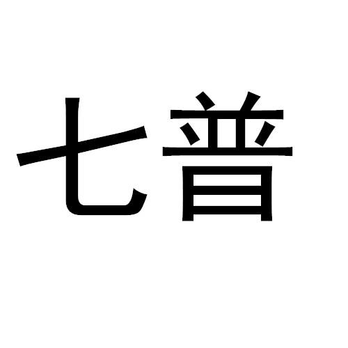 七普