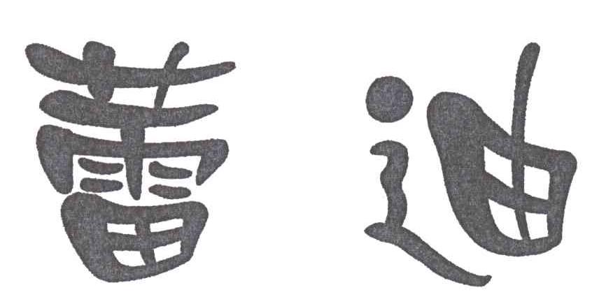蕾迪