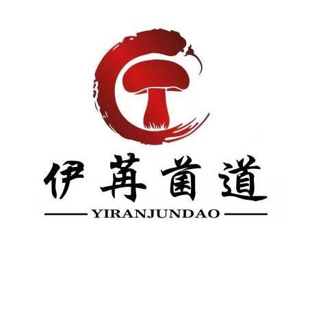 伊苒菌道