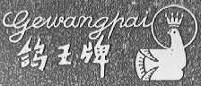 鸽王