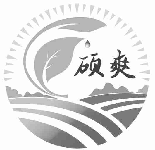 硕爽