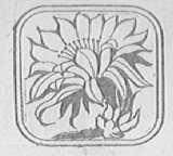 剑花