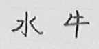 水牛