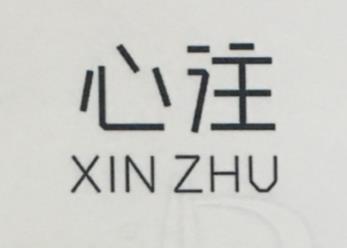 心注