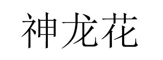 神龙花