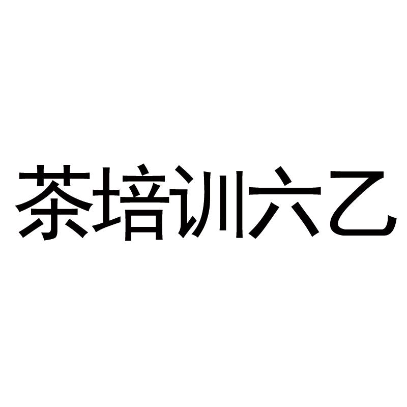 茶培训六乙