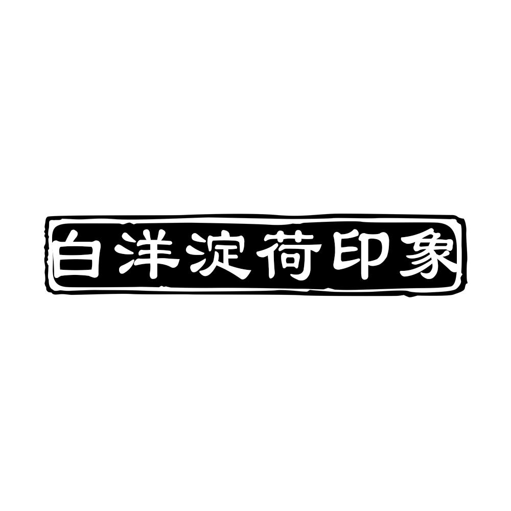 白洋淀荷印象