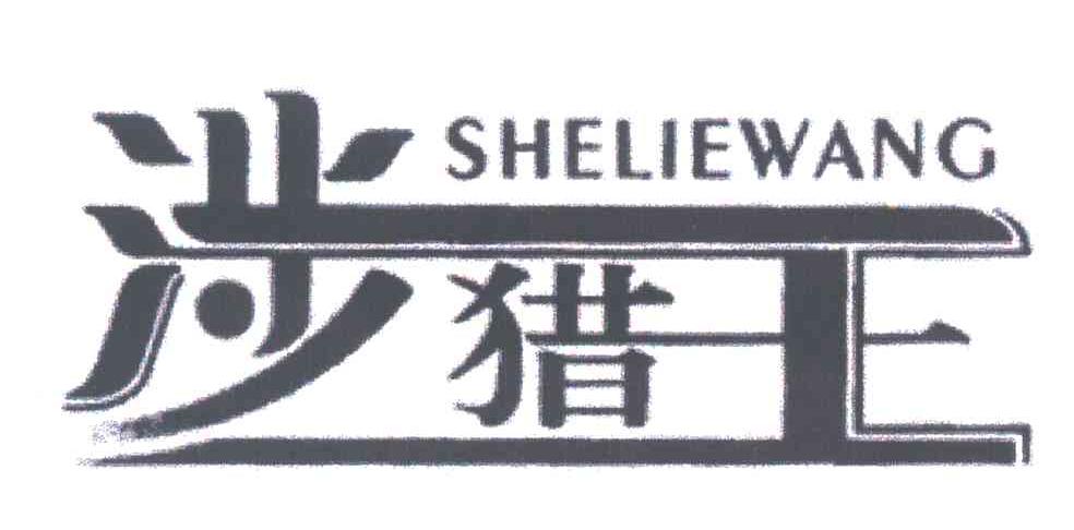 涉猎王