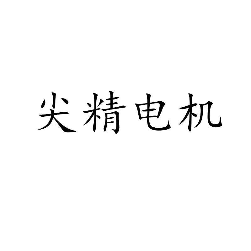 尖精电机