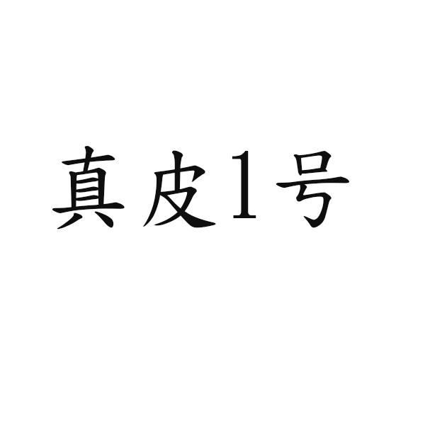 真皮1号