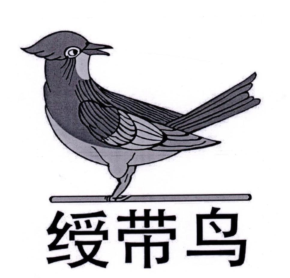 绶带鸟