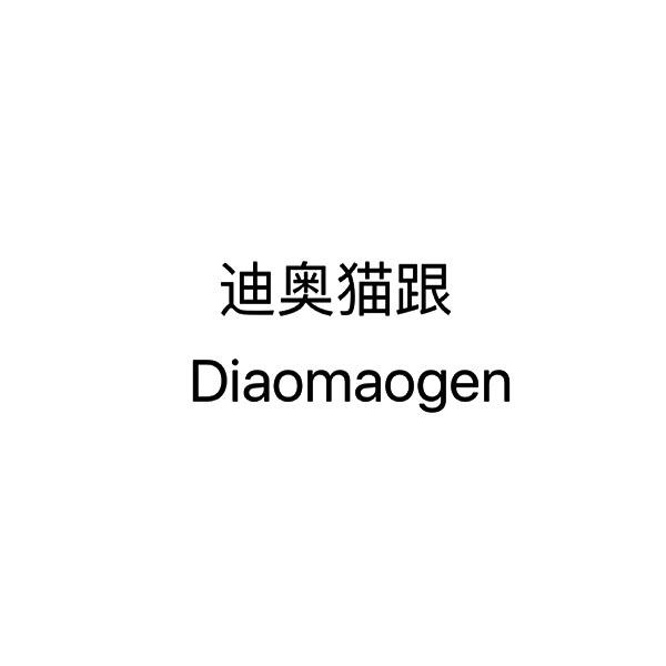 迪奥猫跟