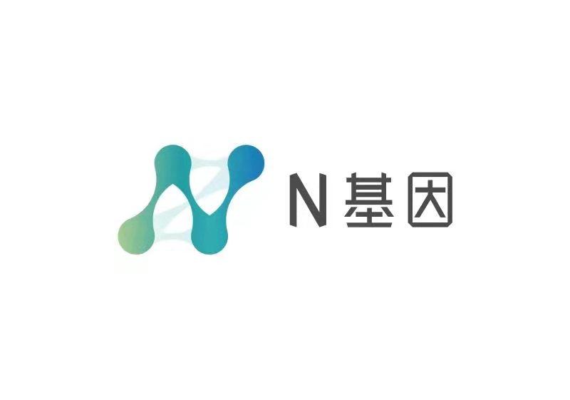 N 基因