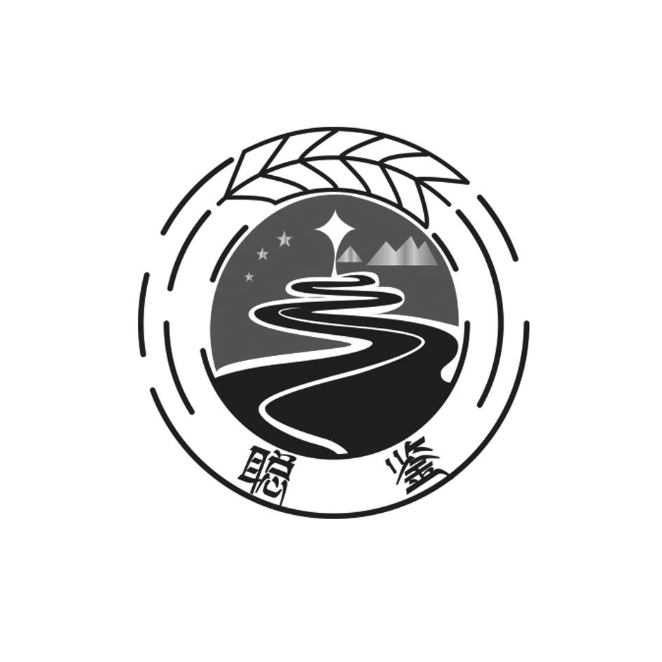 聪鉴