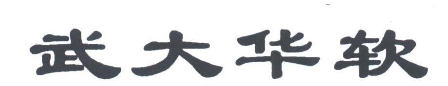 武大华软