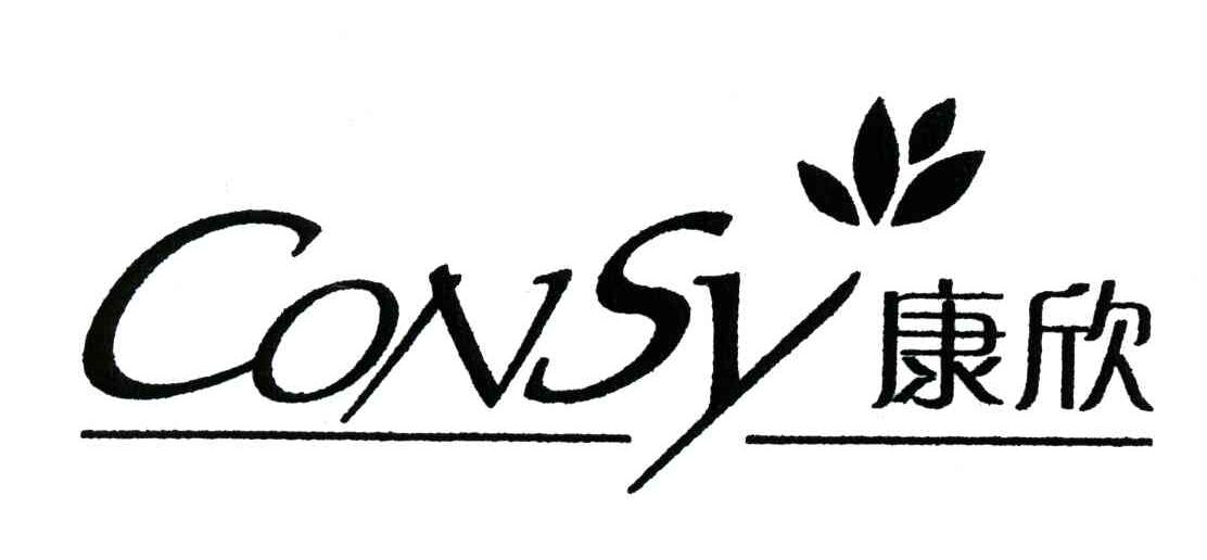 康欣;CONSY